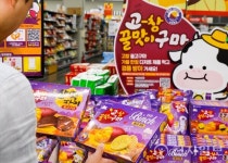 완판 행진 잇는 롯데웰푸드 고창 고구마 시리즈… 프리미엄 가나도 가세