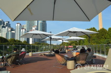 하천이 문화공간으로… 서울 수변정책, 양재천 현장 가보니