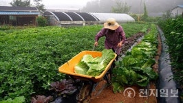 파주시, 얼굴 있는 먹거리 로컬푸드 확산… 농민·시민 모두 웃는다