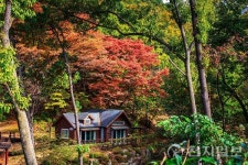 [추캉스 여기어때] 용인, 전통·자연·레저 한자리에… 시간여행의 도시