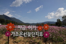 [여행을 떠나요] 가을빛 물든 거창, 바람 따라 걷는 하루