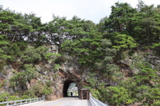 [여행을 떠나요] 와인의 향기와 단풍의 숨결, 무주에서 만난 시간의 길