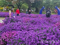 [현장] 대전 유성구 유림공원, 국화 향기 가득한 제16회 유성국화축제