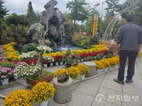 [현장] 대전 유성구 유림공원, 국화 향기 가득한 제16회 유성국화축제