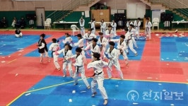 [포토] 제31회 안산시장기 태권도 한마당, 와동체육관서 성황
