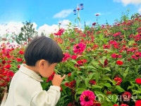 [지역탐방] 평택농업생태원, 68개 정원 따라 가을 산책