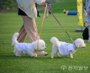 순천시, 반려견과 달리는 2025 댕댕순천 개최