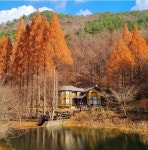 충남 단풍 여행 명소 자연이 보내는 알록달록 가을 초대장