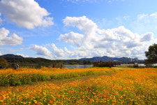 [여행을 떠나요]  서울에서 40분, 자연과 사유의 시간...남양주 다산의 길을 걷다