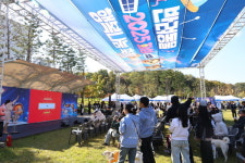 화성특례시, 발안만세시장 세계음식문화 페스티벌 성황리 개최