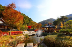 [여행을 떠나요]  자연과 쉼이 머무는 곳, 홍천에서 만난 힐링 하루