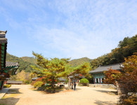 [여행을 떠나요]  자연과 쉼이 머무는 곳, 홍천에서 만난 힐링 하루