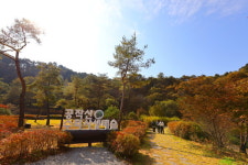 [여행을 떠나요]  자연과 쉼이 머무는 곳, 홍천에서 만난 힐링 하루