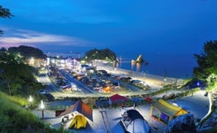 바다 vs 숲, 원픽 골라가는 동해 힐링캠핑캠프