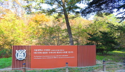 [여행을 떠나요] 안양에서 만난 사유의 풍경