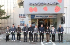 광명시, 도심 첫 딸기 스마트팜 개소… 지속가능 도시농업 새 모델 구축