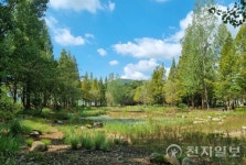 광양 옥룡 솔밭섬, 산림청 2025년 모범도시숲 선정
