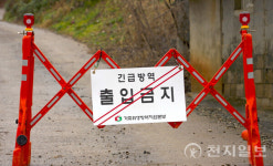 당진시, 송산면 무수리 ASF 확진… 긴급 방역 조치 시행