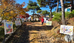 IWPG 천안지부, 두 번째 들꽃문화제 성료… 일상 속 평화문화 체험
