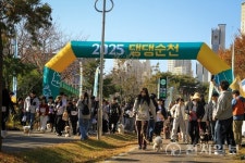 댕댕순천으로 통합… 순천시, 반려여행 특화도시 전면화
