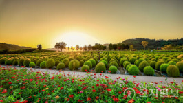 연천 DMZ 생태관광, 국무총리 표창 받다