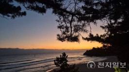 [2026해맞이] 삼척 이사부사자공원서 맞는 병오년 새해 (영상)