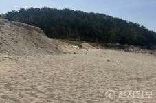 [기후위기와 정책] 인천, 해안도시 기후위기 복구 넘어 구조 대응 전환