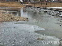 이 또한 지나가리라… 추운 겨울, 대전 유등천의 물새처럼