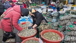[포토] 설 앞둔 전통시장 북적… 정겨운 흥정 소리 광주 송정5일시장