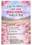 강릉 월대산, 주민이 심은 진달래가 축제가 됐다