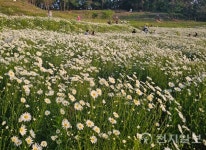 대만서 변산 생태관광 세일즈… 부안군, 외국인 유치 총력