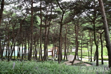 [포토] 빽빽한 소나무 아래 초록 쉼표… 구례 지리산정원