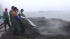 [오늘의 추천방송] EBS 극한직업