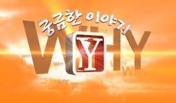 [오늘의 추천방송] SBS ‘궁금한 이야기 Y’