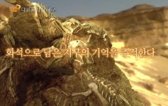 ‘화석’을 통해 역사에 숨을 불어넣다