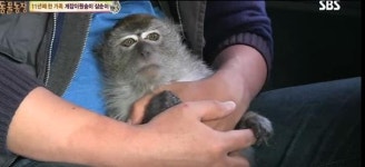 ‘동물농장’ 제작진, 게잡이원숭이 ‘삼순이’ 유기 논란 해명