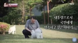 동물농장에 등장한 윤 대통령...이미지 정치의 위험성