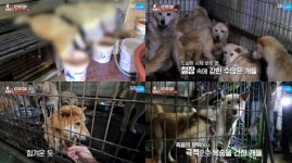 KBS 끓는 바다, MBC 태계일주 등 7편 이달의 PD상 수상