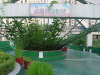 서울신현초등학교