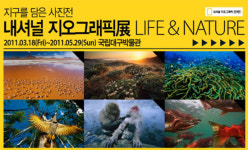 지구 소중함 담은 내셔널 지오그래픽展 대구서 개최