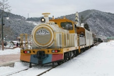 정선풍경열차 타고 눈꽃기차여행을