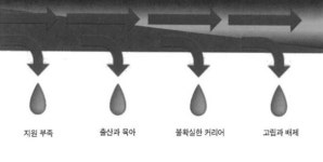 여성이 과학기술자가 되면?