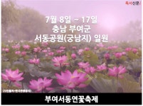 [주말 가 볼 만한 곳-지역축제⑦] 부여서동연꽃축제 외