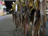 [핫 플레이스] 망리단길, 편하고 따뜻해요