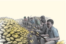 [리뷰] 커피 한 잔, 그 절반은 남미 어린이들의 땀과 눈물