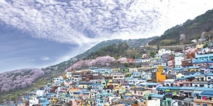 [책 속 명문장] 부산 감천문화마을 경관에 얽힌 사연
