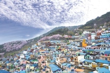 [책 속 명문장] 부산 감천문화마을 경관에 얽힌 사연