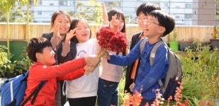 [포토인북] 쑥국 선생님과 군산푸른솔초등학교 아이들의 시똥누기 화단