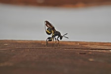 [포토인북] 장이권 교수와 함께하는 자연 덕후들의 자연 탐사
