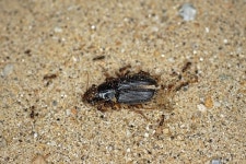 [포토인북] 장이권 교수와 함께하는 자연 덕후들의 자연 탐사